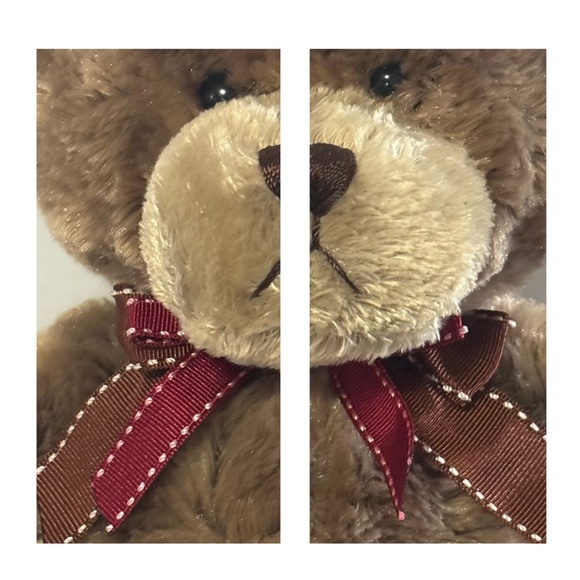 TELL ME THE DAY BACKWARDS - Albert Lamb / 2011 Hardcover Book & Plush Bear Toy - Picture 4 of 10